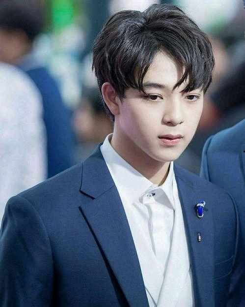 泰逐月之月演员简介,探寻神秘古墓的传奇演员阵容揭秘