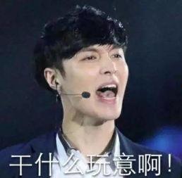 张艺兴微信表情包,趣味横生的表情盛宴