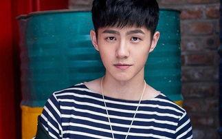 买超家庭背景爸爸,出身名门，传承家国情怀的传奇故事